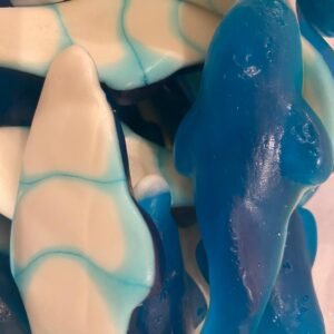 Giant Blue Dolphin
